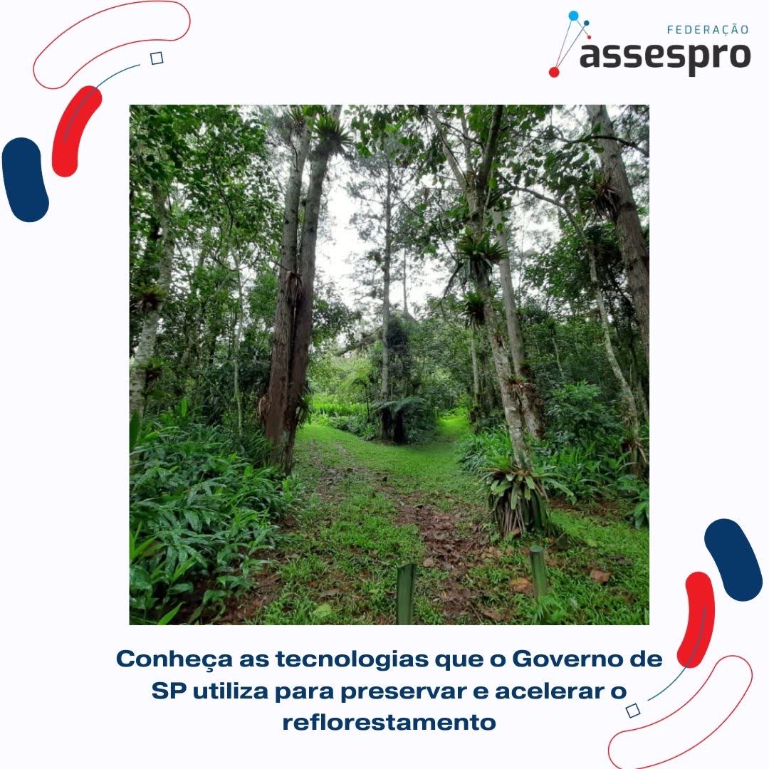 Conheça as tecnologias que o Governo de SP utiliza para preservar e acelerar o reflorestamento